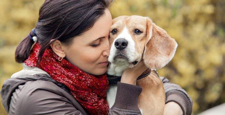 Cómo superar la muerte de tu perro. Te damos 7 consejos para aliviar el dolor.