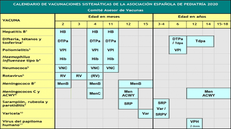 Vacuna Contra El Meningococo: Calendario De Vacunación